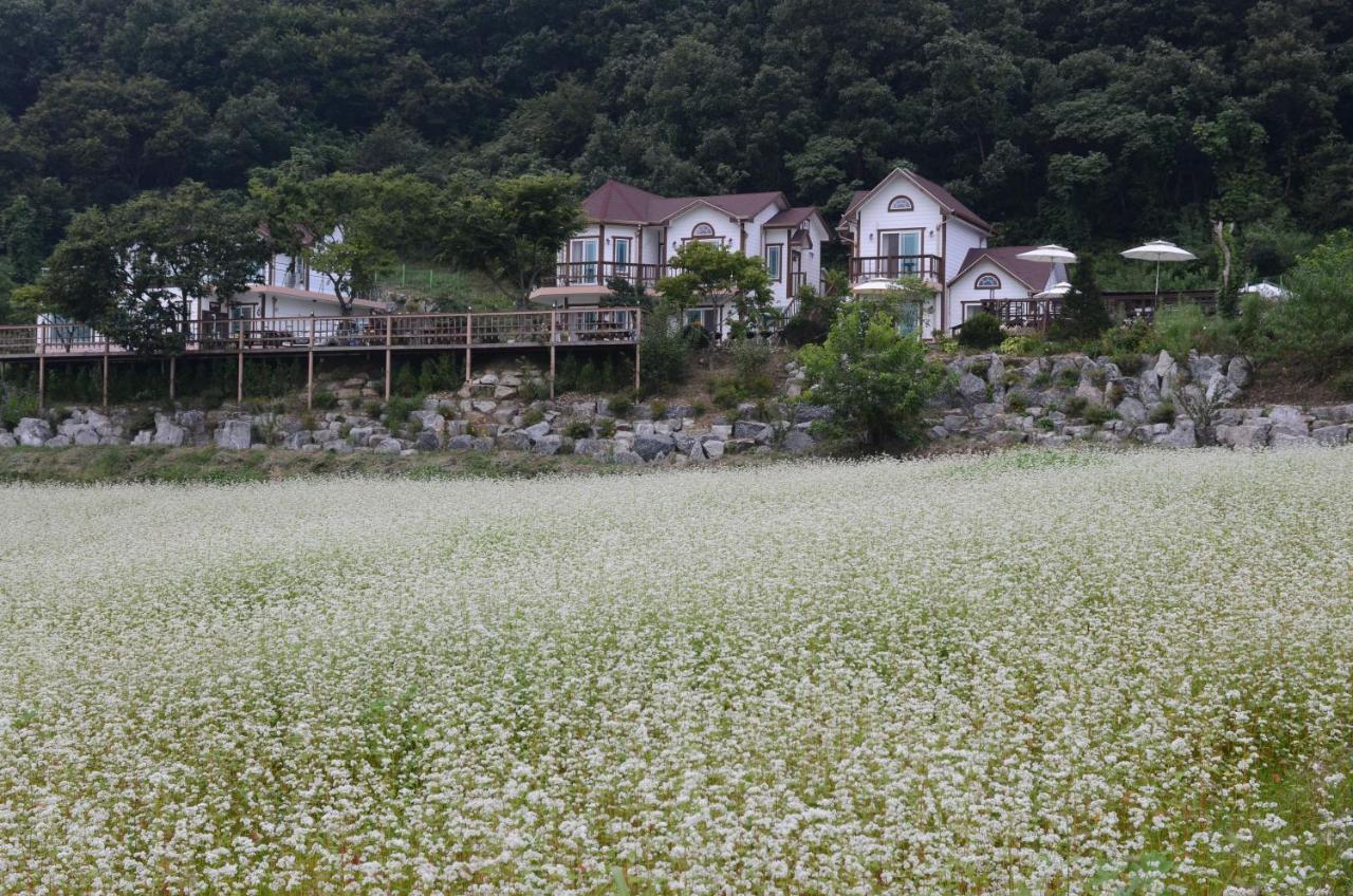 Forest Of Color Pension Hongcheon Εξωτερικό φωτογραφία