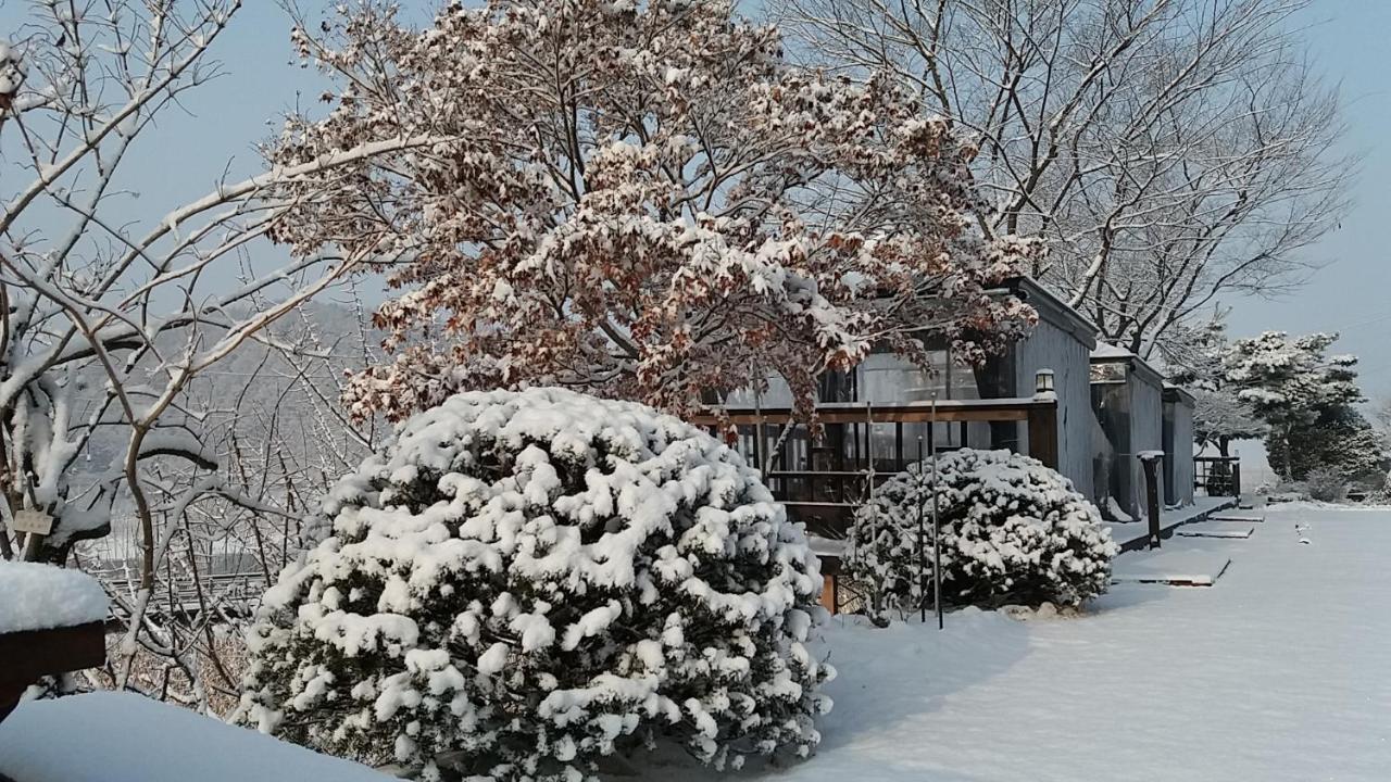 Forest Of Color Pension Hongcheon Εξωτερικό φωτογραφία